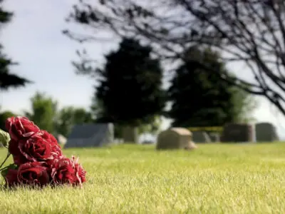 cemetery headstones with red flowers